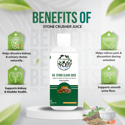 Kidney Cleanse Juice | Natural Detox Drink for Kidney Health & Stone Support